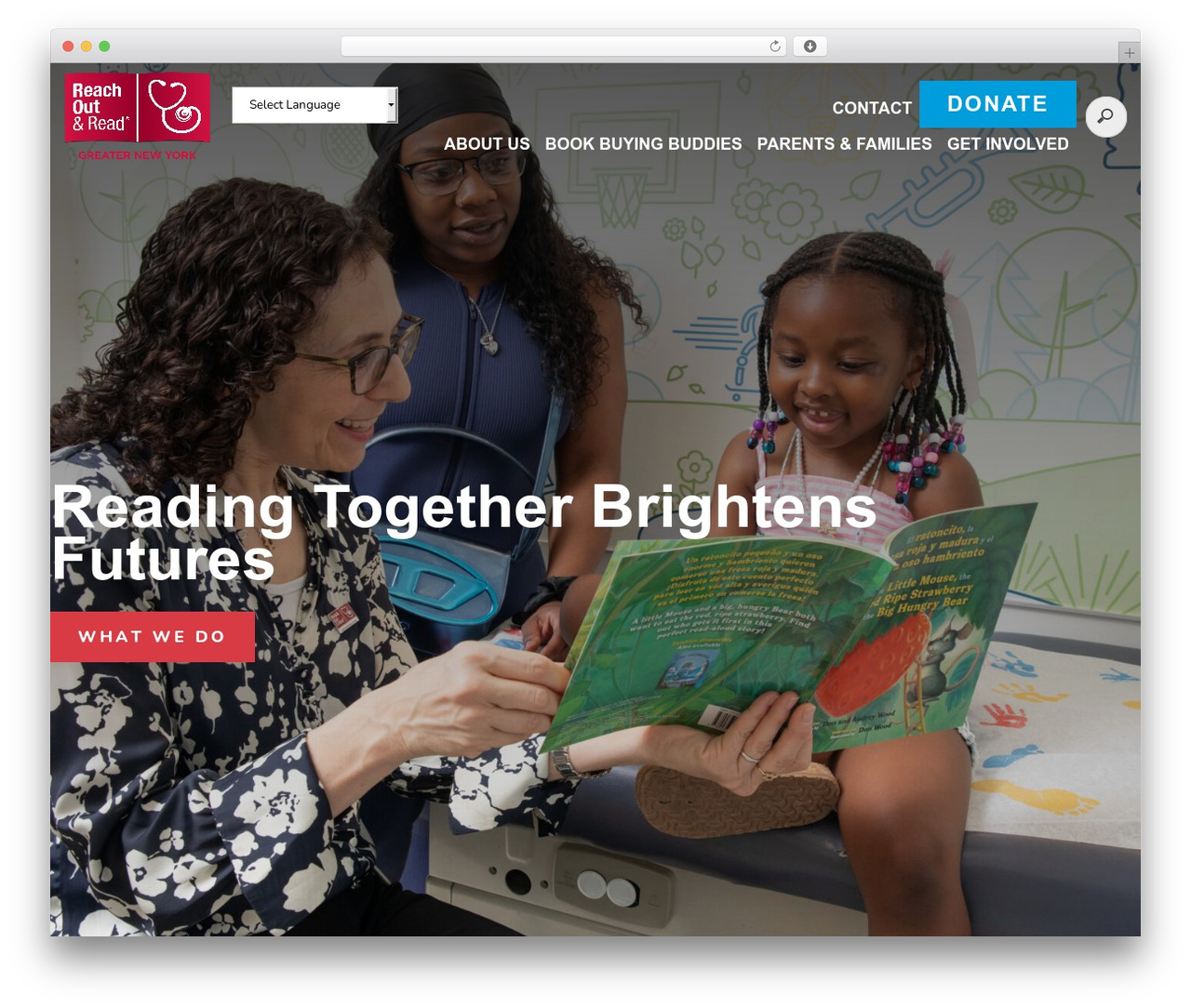 Best WordPress theme Elevation Web - reachoutandreadnyc.org