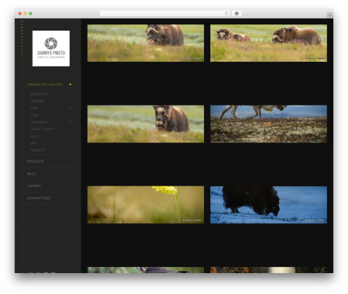 Lens best WordPress theme - dannysphoto.no