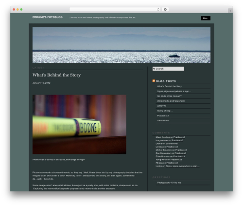 Modularity Lite WordPress blog theme - photography.dwaynequan.com