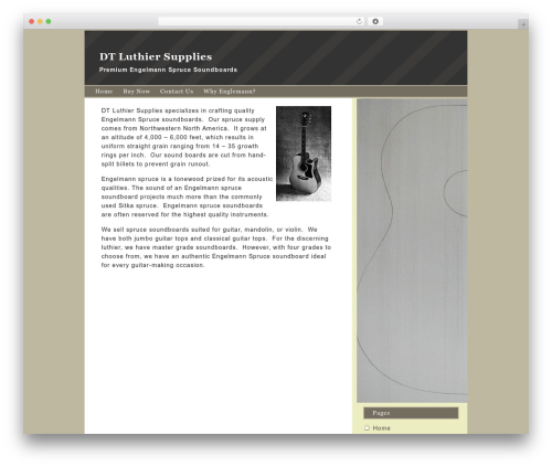 Theme WordPress CoffeeBreak - dt-luthier-supplies.com