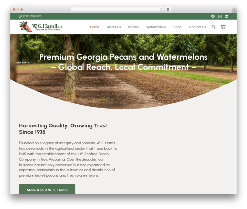 Theme WordPress Impreza - wghamil.com