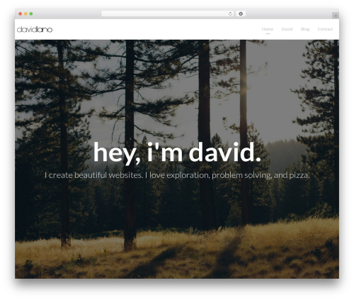 Theme WordPress Light Dose - davidlano.com