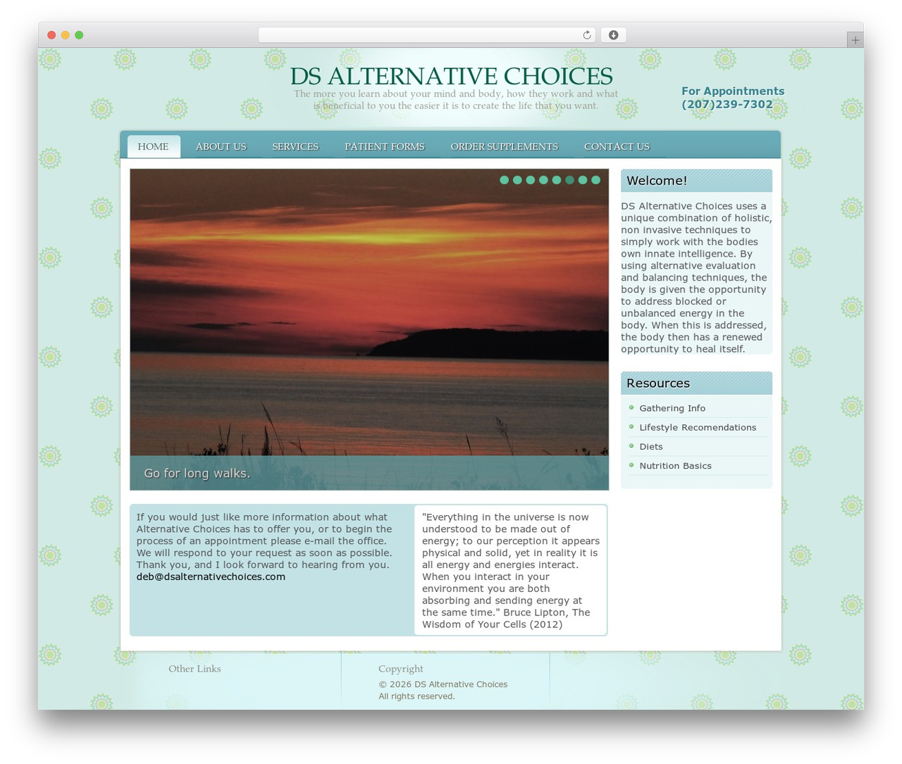 Theme WordPress Child - dsalternativechoices.com