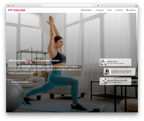 BasicStore WordPress shop theme - fit-online.it