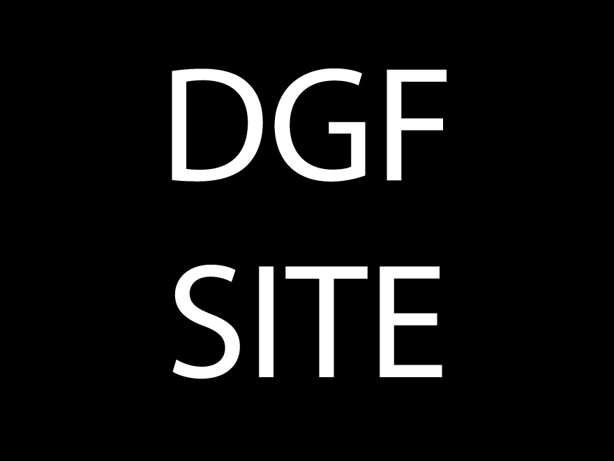 dgf theme WordPress