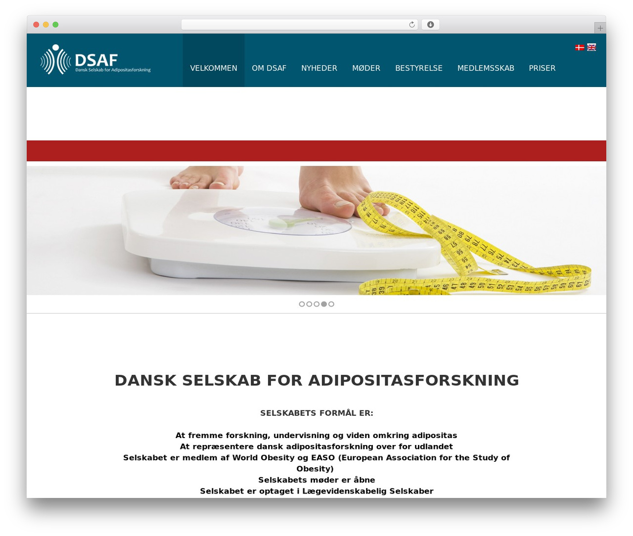 DSAF WordPress theme - dsaf.dk