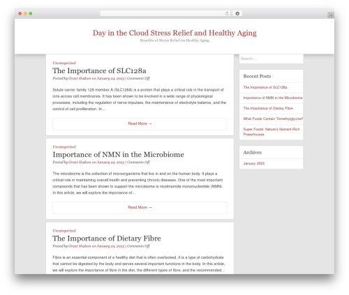 Frente WordPress theme - dayinthecloud.com