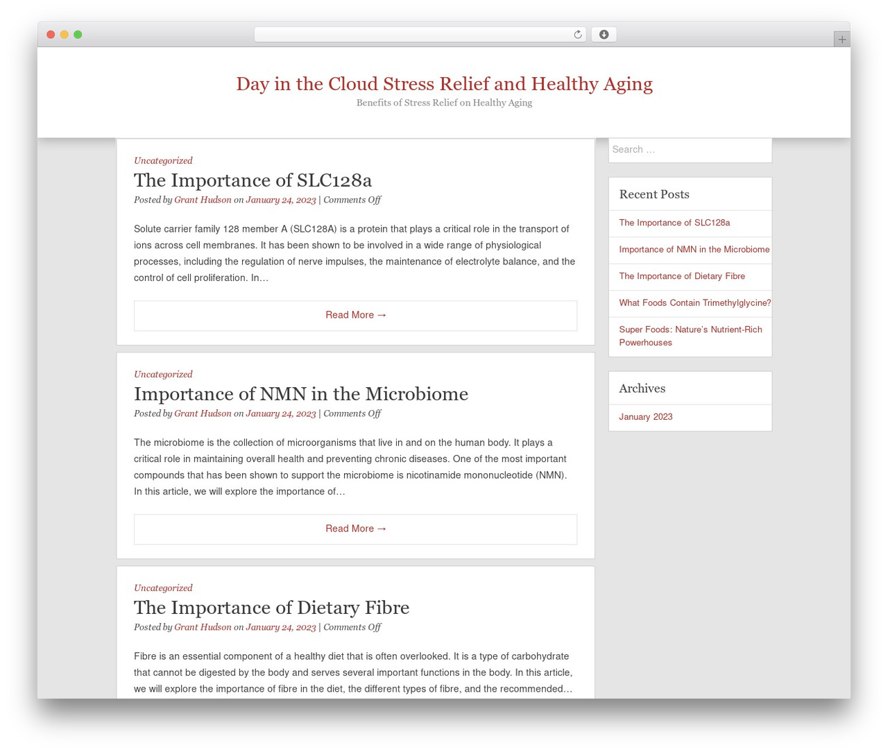 Frente WordPress theme - dayinthecloud.com Frente WordPress theme - dayinthecloud.com