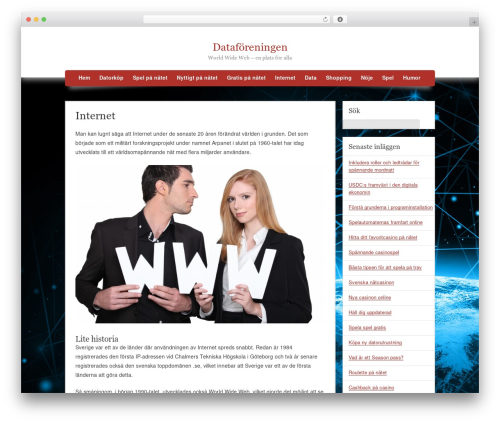 Frente WordPress theme - dataforeningen.se
