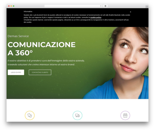 Ninzio addons WordPress plugin - demasservice.it