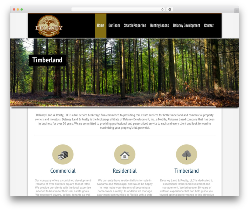 Nine WordPress theme - delaneylandandrealty.com