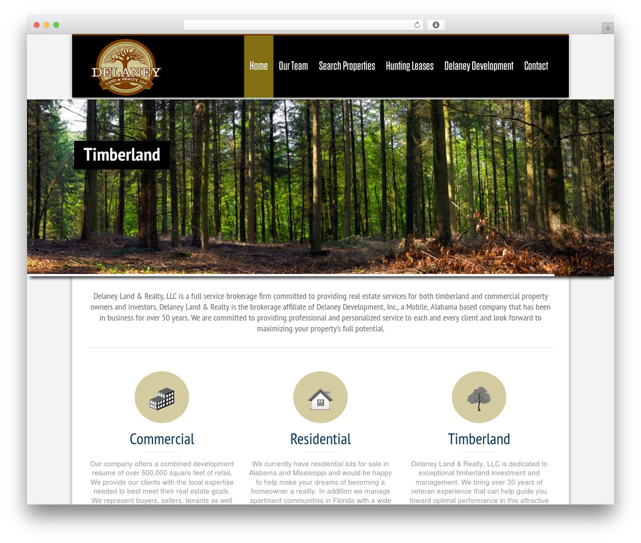 Nine WordPress theme - delaneylandandrealty.com Nine WordPress theme - delaneylandandrealty.com