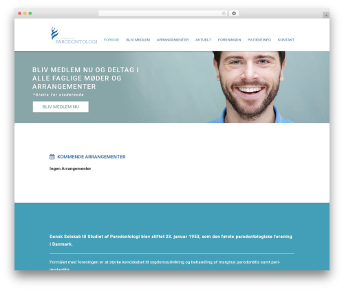 Salt theme WordPress - dspnet.dk