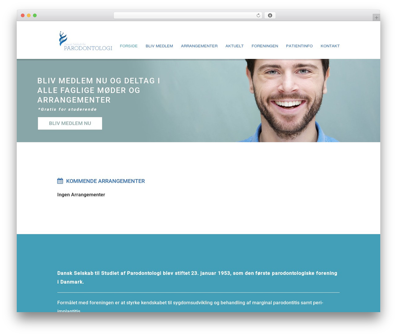 Salt theme WordPress - dspnet.dk