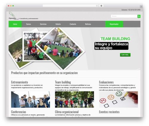 Smart IT WordPress page theme - dynamicsgroup.com.mx