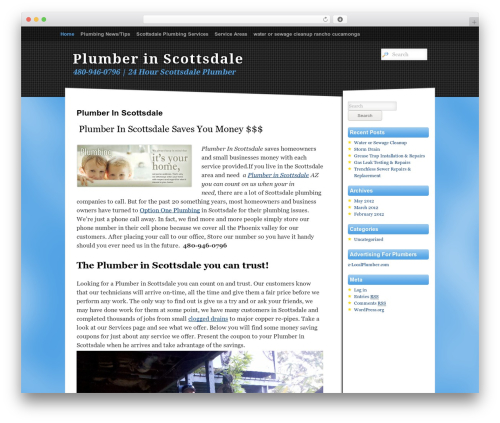 Sonar WordPress theme - plumberinscottsdaleaz.com