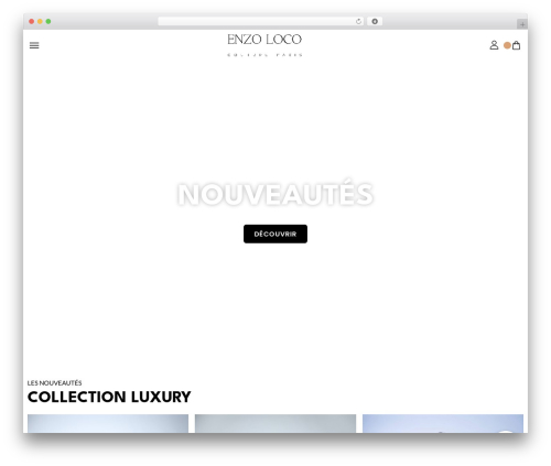 Styler elementor addons WordPress plugin - enzolocoparis.com