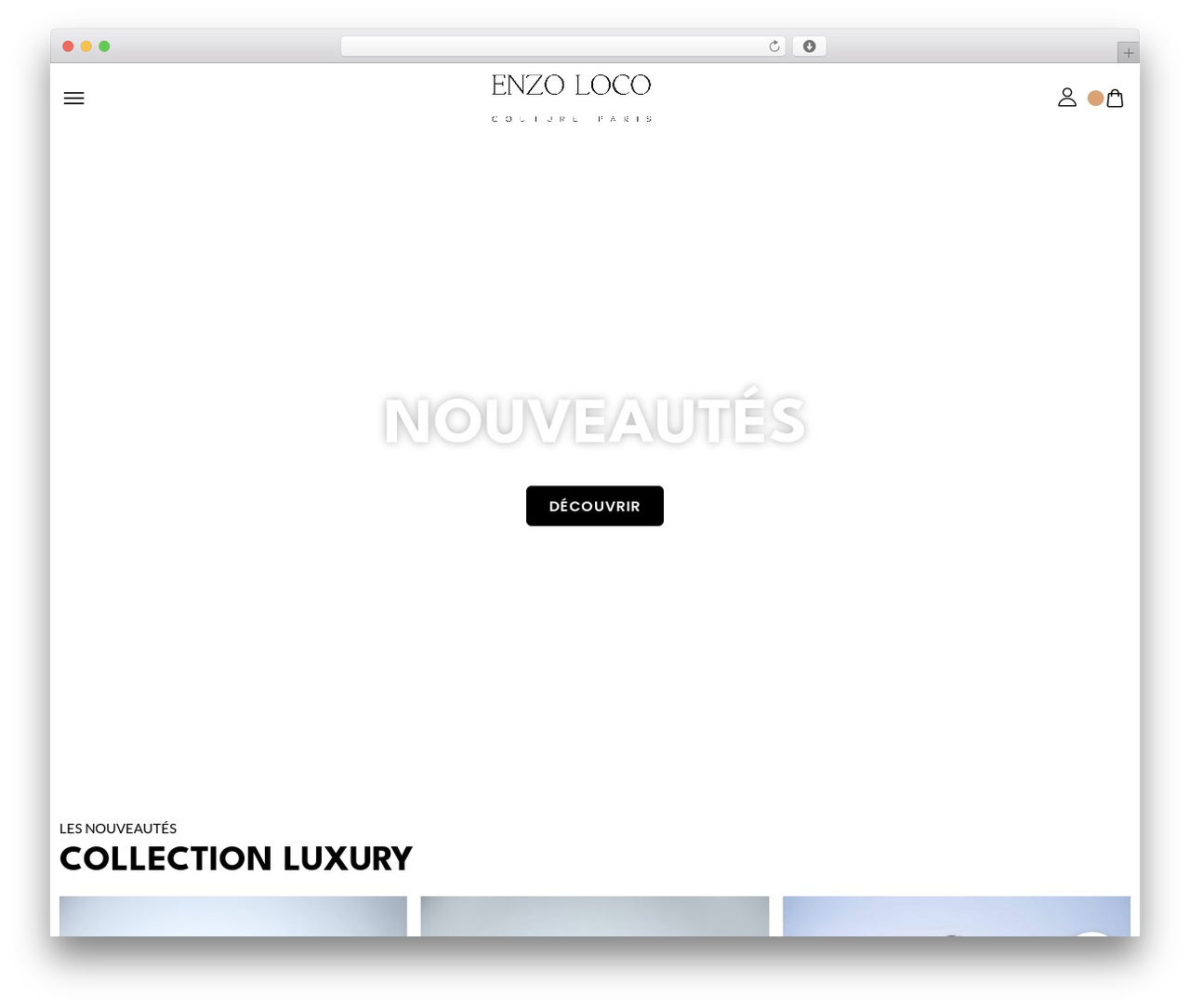 Styler WordPress theme - enzolocoparis.com
