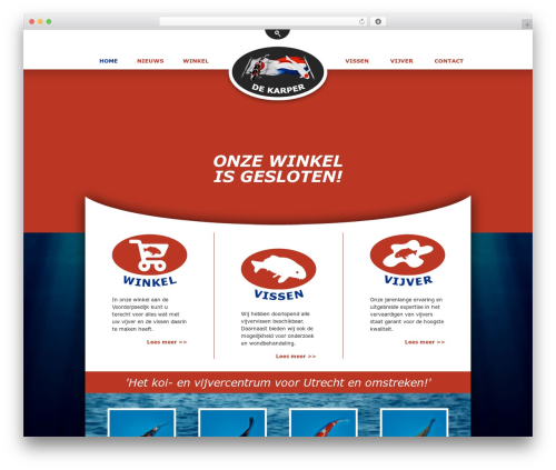 Theme WordPress Swatch - dekarperutrecht.nl