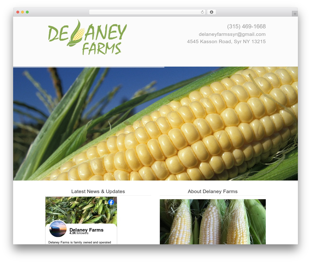 Theme WordPress U-Design - delaneyfarms.com. Theme WordPress U-Design - delaneyfarms.com.