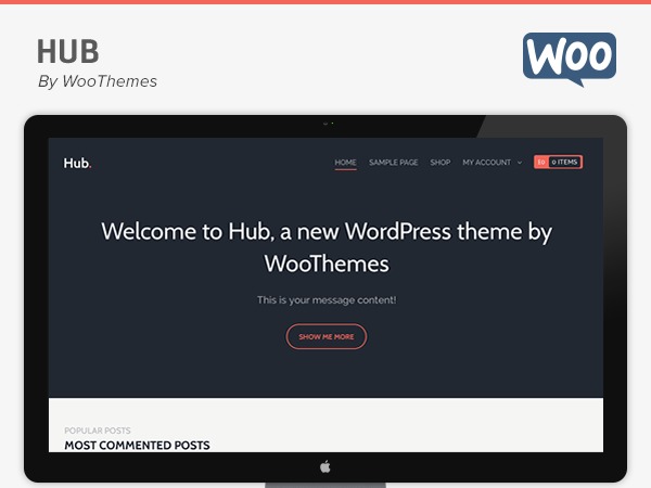 Best WordPress theme Hub Child