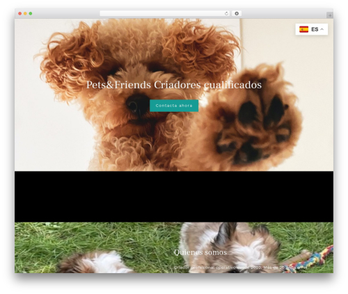 Cm4all elements WordPress plugin - petsfriends.info