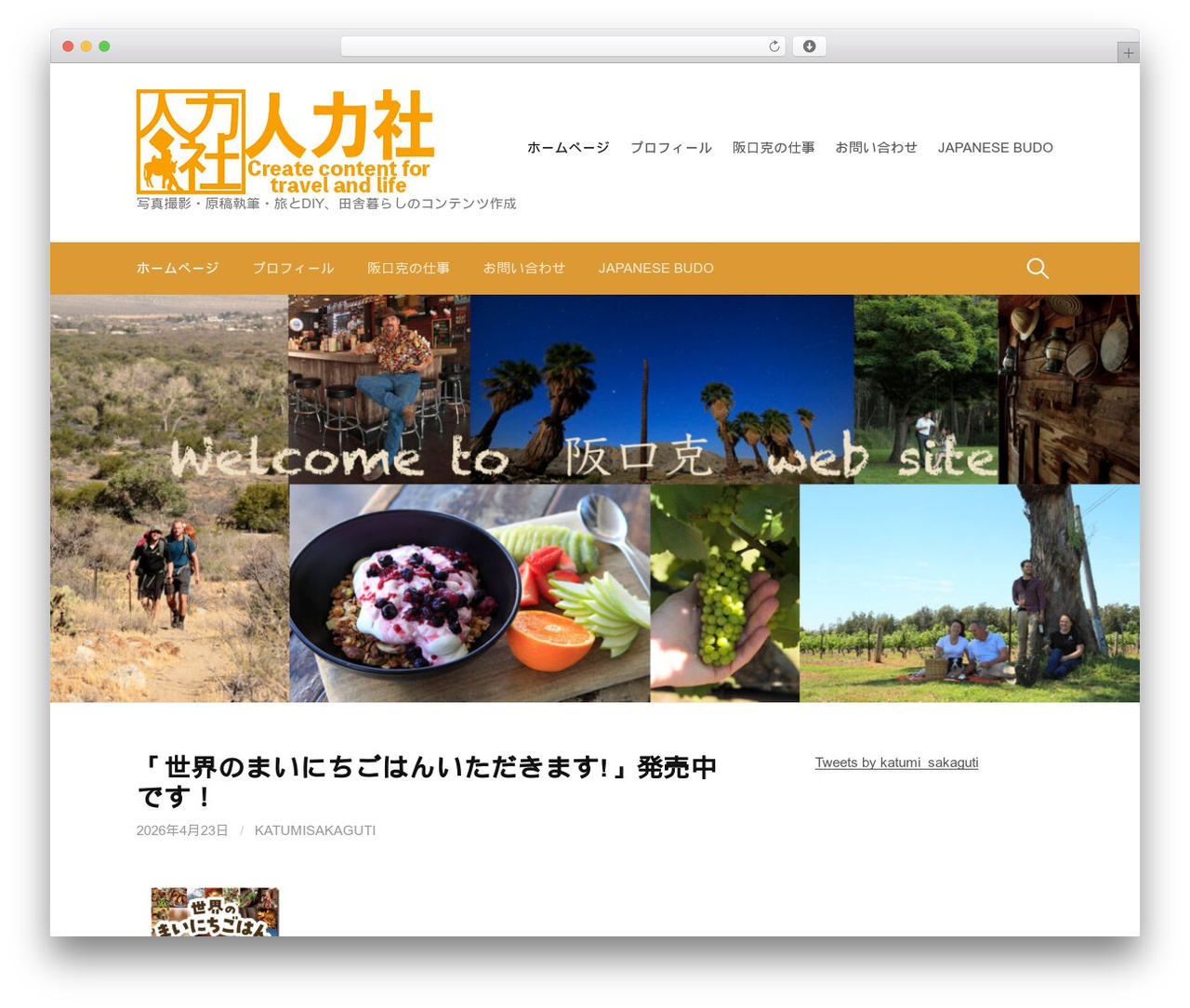 First WordPress theme - sakaguti.org