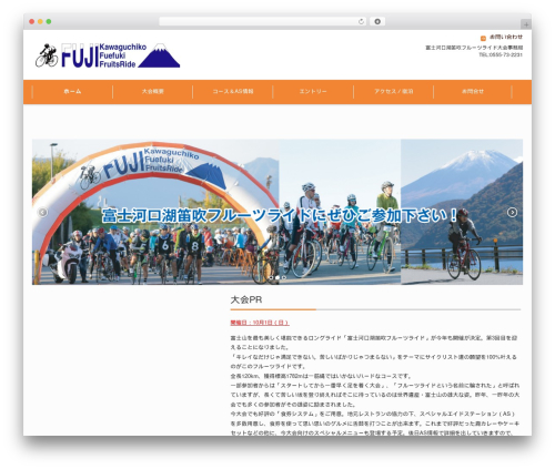 FSV002WP BASIC CORPORATE 03 (ORANGE) best WordPress theme - fruitsride.com