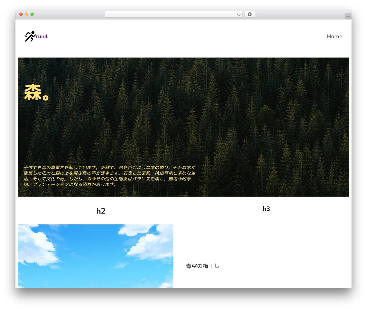 hs-base theme WordPress - run4.red