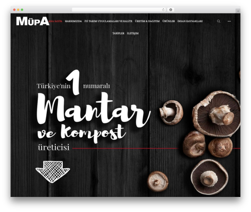 Wyde core WordPress plugin - mupa.com.tr