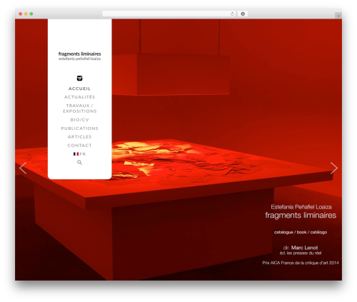 Vector Responsive WordPress Theme best WordPress theme - fragmentsliminaires.net