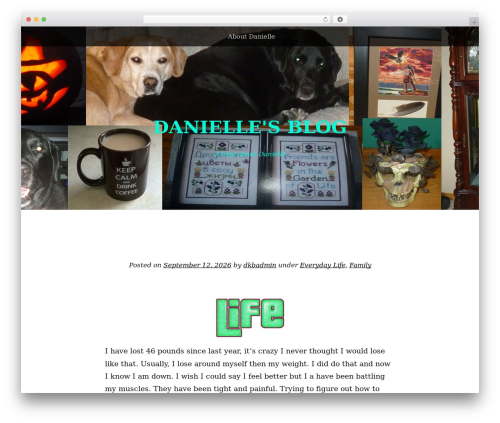 Book Lite WordPress theme design - daniellesblog.me