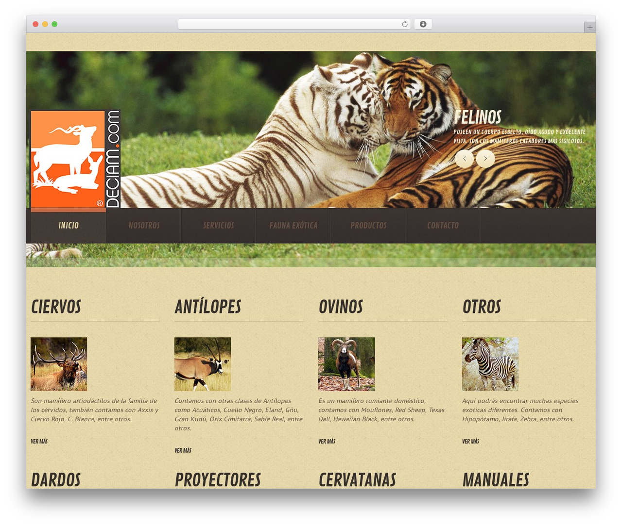 cherry WordPress theme - deciam.com