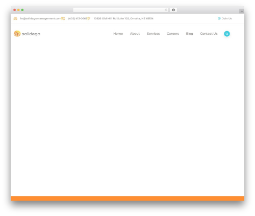 Codesk themer WordPress plugin - solidagomanagement.com