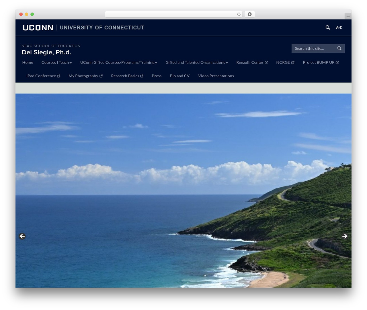 Cornerstone WordPress theme - delsiegle.education.uconn.edu