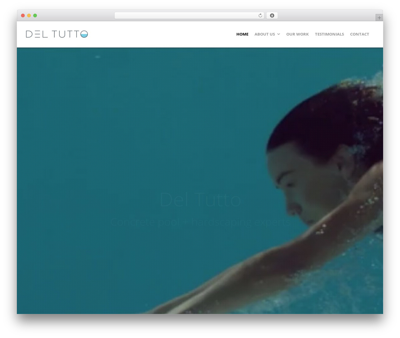 Create premium WordPress theme - deltutto.co.nz