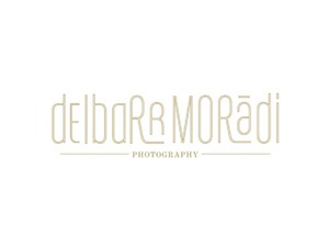 Delbarr Moradi WordPress theme