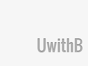 UwithB Responsive WordPress theme by Alessandro Mignogna