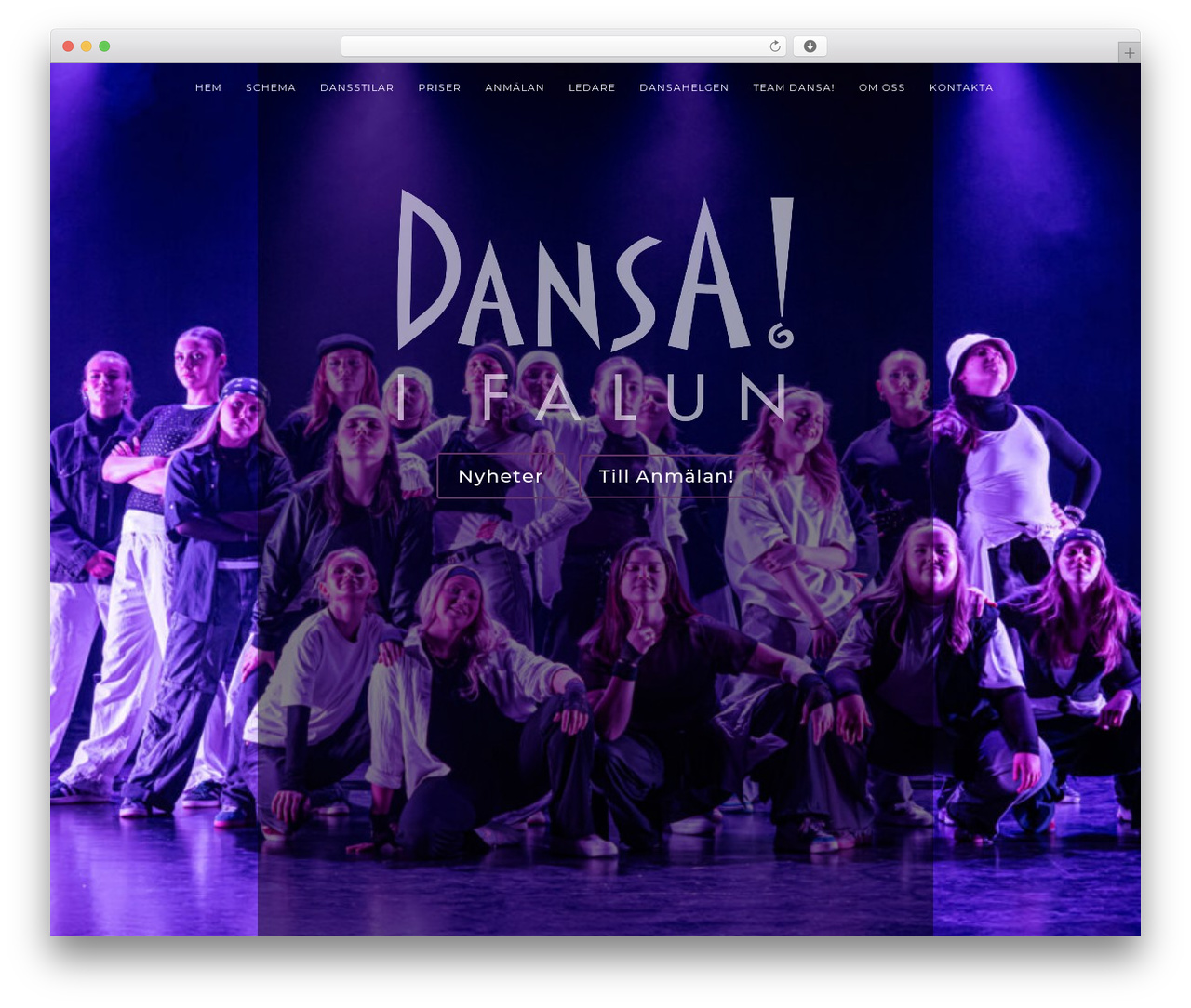 WordPress theme Divi - dansaifalun.se