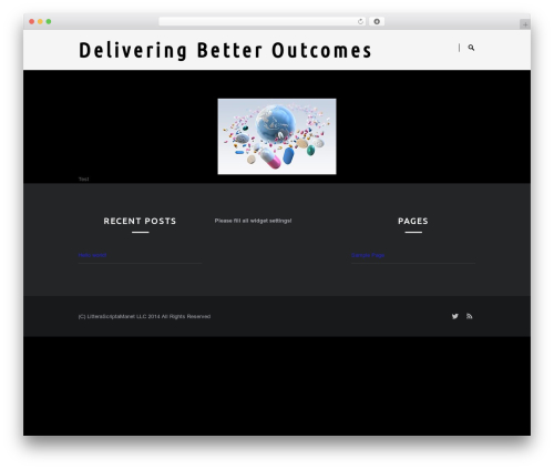 WordPress theme Engo - deliveringbetteroutcomes.com