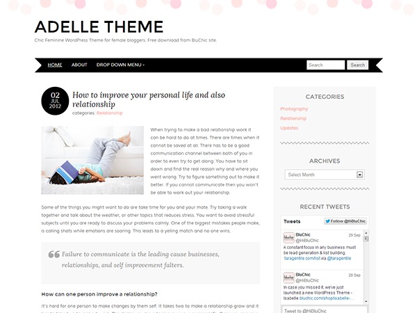 A premium WordPress theme