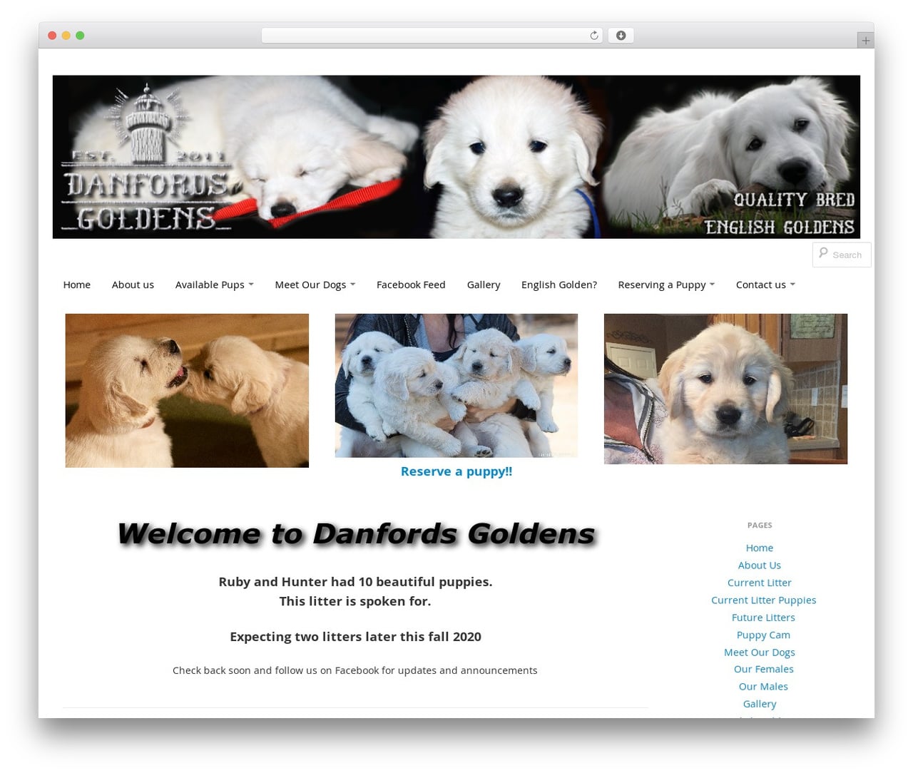 Boot Store WordPress theme - danfordsgoldens.com Boot Store WordPress theme - danfordsgoldens.com