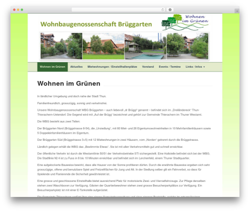Ishpdficon WordPress plugin - brueggarten.ch