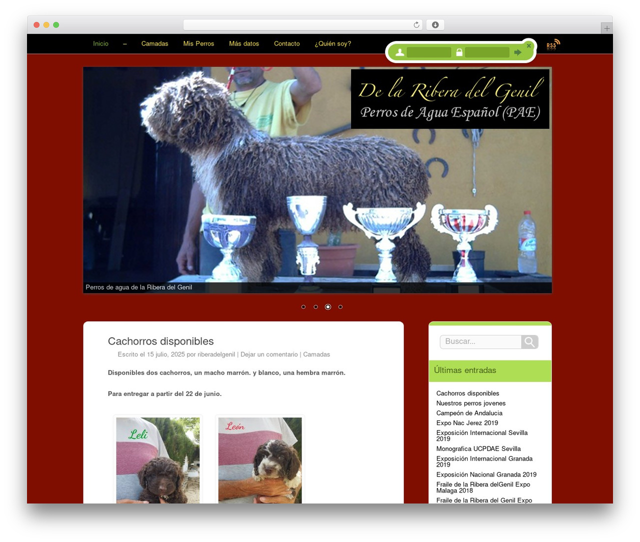 LuKoo WordPress theme - delariberadelgenil.com