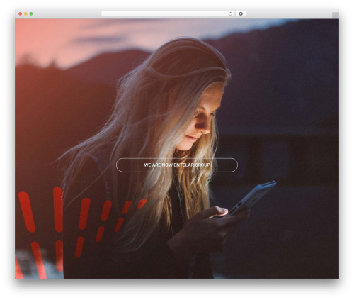 Elfsight team showcase cc WordPress plugin - telegistics.co.nz
