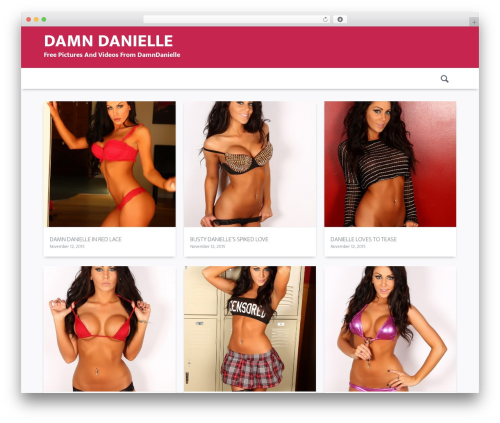 RichWP Flow Box WordPress website theme - damndanielle.net