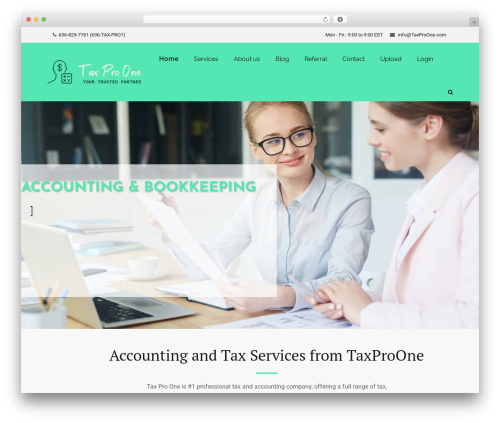WordPress theme Auditing - taxproone.com