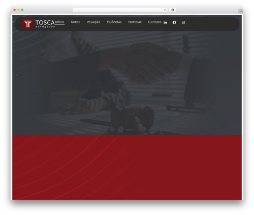Theme customisations WordPress plugin - tosca.adv.br