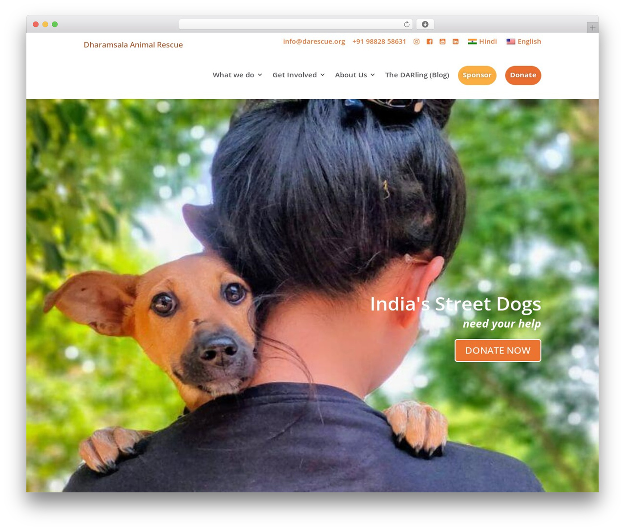 Divi top WordPress theme - dharamsalaanimalrescue.org Divi top WordPress theme - dharamsalaanimalrescue.org