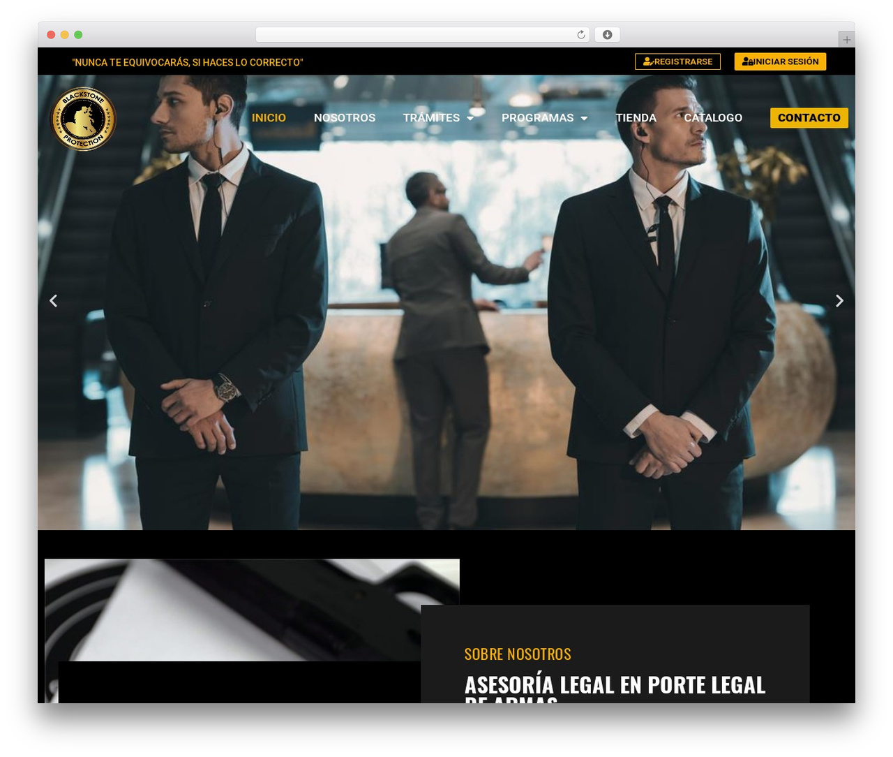 Hello Elementor WordPress theme - blackstoneprotection.com.pe